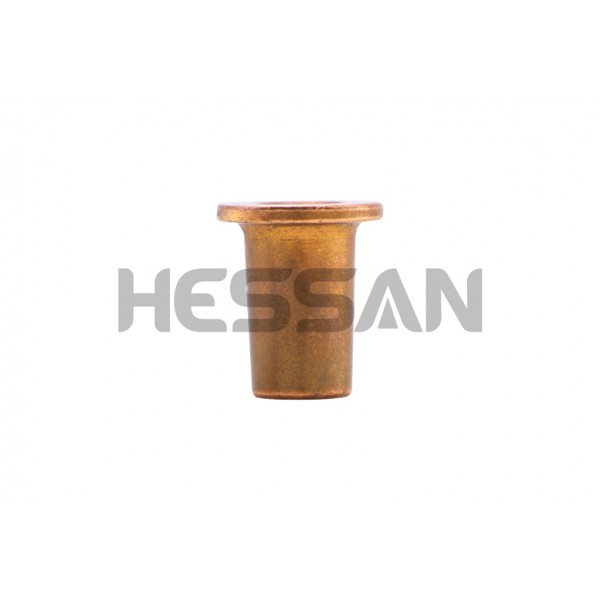 Bosch Birim Pompa Isı Kalkanı F00ZW00003